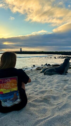 midnight gala maxi dress