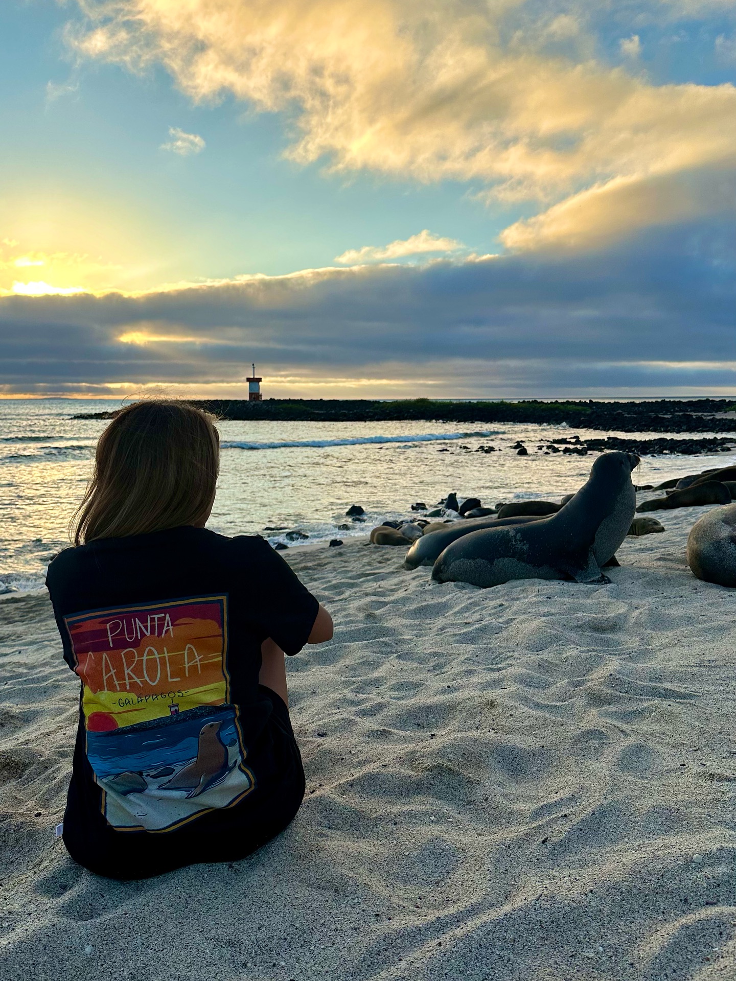 midnight gala maxi dress midnight gala maxi dress